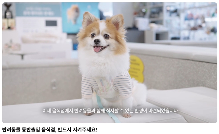 반려동물 동반출입 음식점, 반드시 지켜주세요! (출처 : 식품의약품안전처 유튜브 채널)