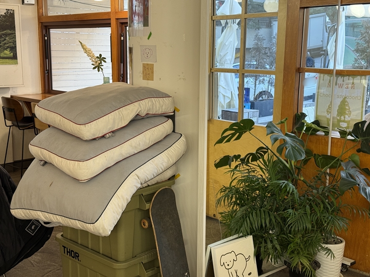 강아지 전용 쿠션