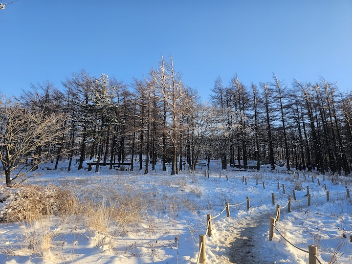 눈 덮인 만항재 산책로의 모습. 신비로운 자연 경관에 감탄이 나온다.