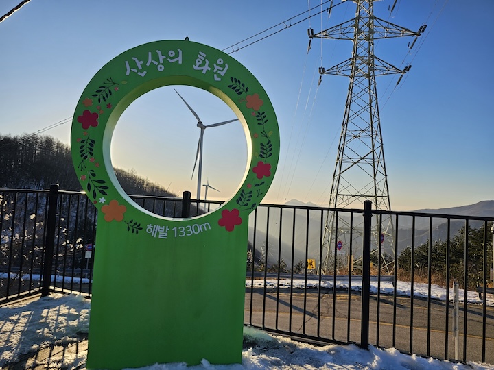 만항재 야생화 탐방로의 모습.