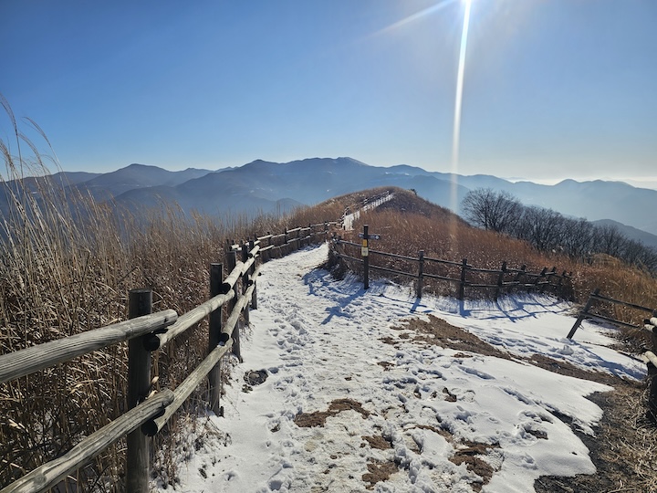 눈 덮인 만항재 산책로의 모습. 나무들 사이로 서서히 내려앉는 해가 인상적이었다.