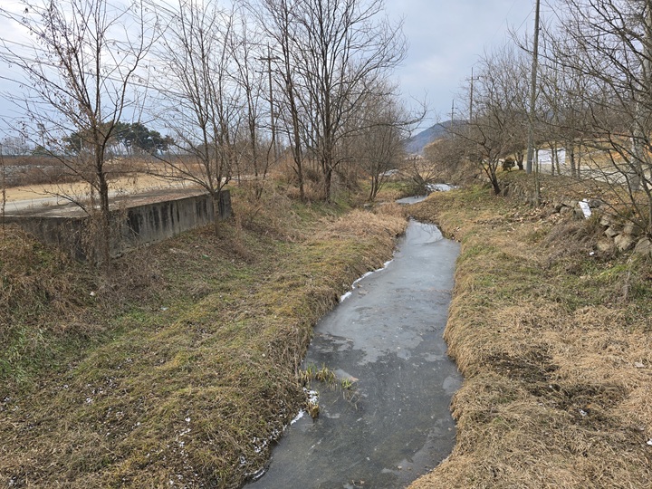 세종리 은행나무 역사공원 바로 앞에는 금강으로 합류하는 내삼천이 흐른다.