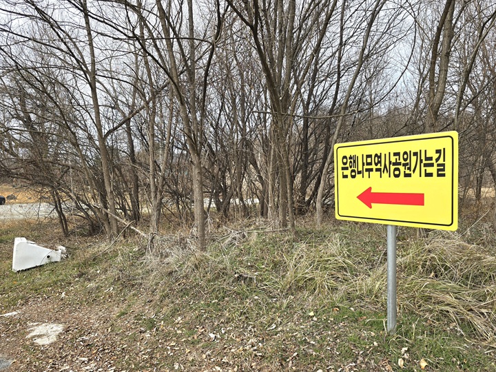 세종리 은행나무 역사공원으로 가는 이정표.