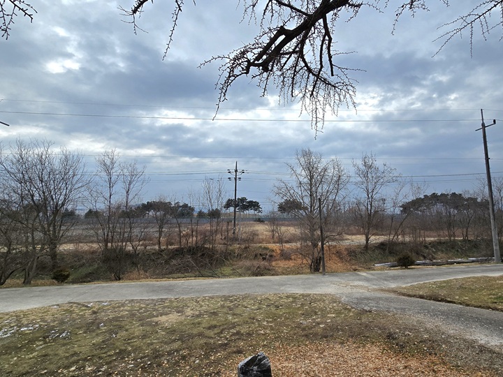 세종 임난수 은행나무가 있는 작은 언덕 위에서 바라본 국가상징구역 시민 공간 부지.