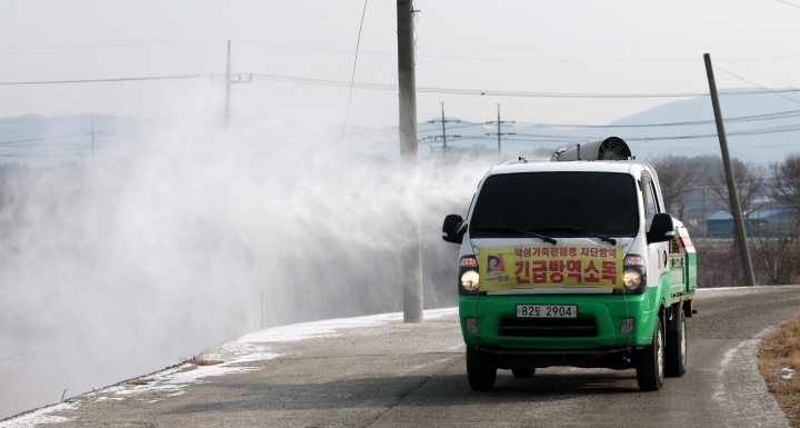 지난 1월 26일 경기 안성시 미양면 일대에서 안성시 관계자가 집중 소독 및 방역 작업을 하고 있다. 2026.1.26. (ⓒ뉴스1, 무단 전재-재배포 금지)