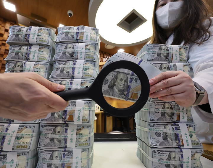 지난 4일 서울 중구 하나은행 위변조대응센터에서 직원이 달러화를 정리하고 있다.(사진=저작권자(c) 연합뉴스, 무단 전재-재배포 금지)