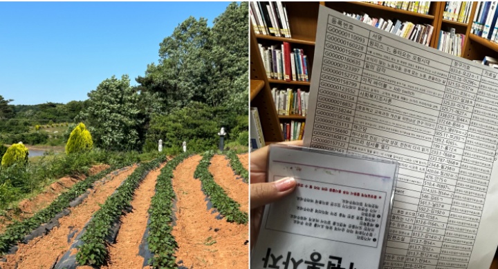 (좌) 농민학생연대활동, (우) 도서관 서가 정리 보조 봉사활동에 참여하는 모습.