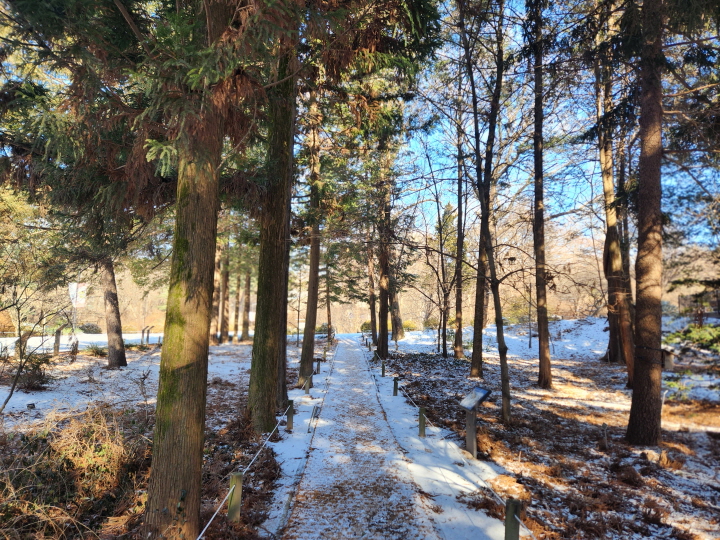 홍릉숲이 있는 곳을 국립산림과학원 홍릉시험림이라도 부른다. 올해 '홍릉 모델 도시숲'을 연구 중이다.