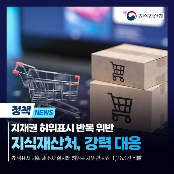 지재권 허위표시 반복 위반 지식재산처 강력 대응