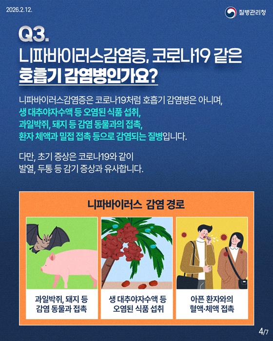 니파바이러스감염증 핵심 궁금증 6가지를 한눈에!