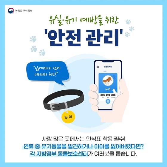 설 연휴, 반려인을 위한 다양한 반려동물 꿀혜택 총정리