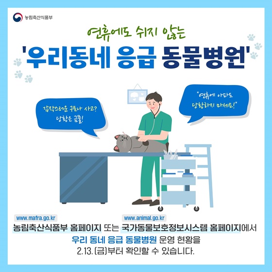 설 연휴, 반려인을 위한 다양한 반려동물 꿀혜택 총정리