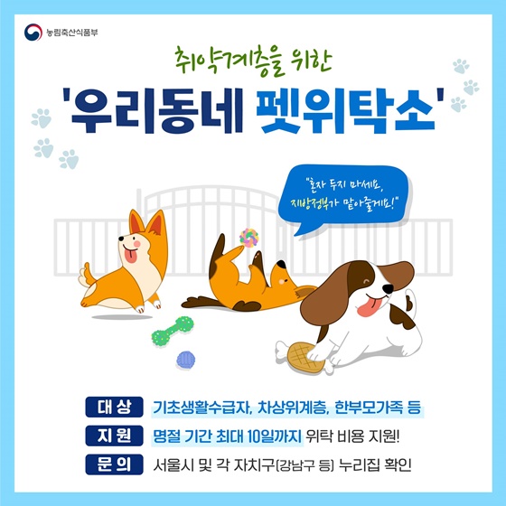 설 연휴, 반려인을 위한 다양한 반려동물 꿀혜택 총정리