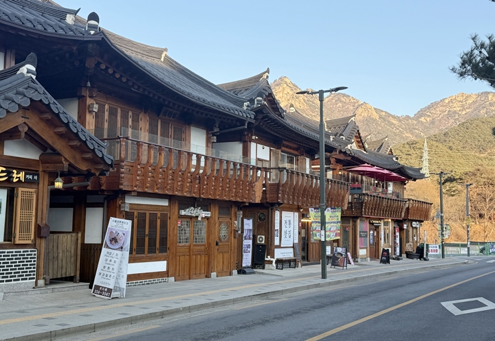 한옥으로 지은 카페, 음식점, 게스트하우스 등 길목 가득히 채운 공간들