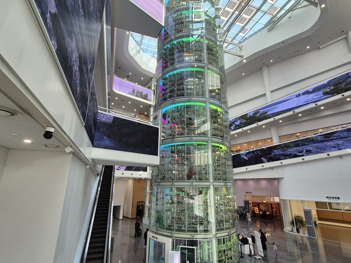 7,000여 점이 넘는 해양 생물 표본이 전시돼 있는 씨큐리움.