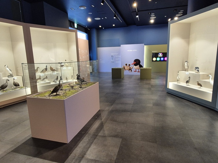 국립해양생물자원관 10주년 기획전 '날개 아래 바다-서천갯벌의 생명 이야기' 연계된 갯벌탐정 미션.