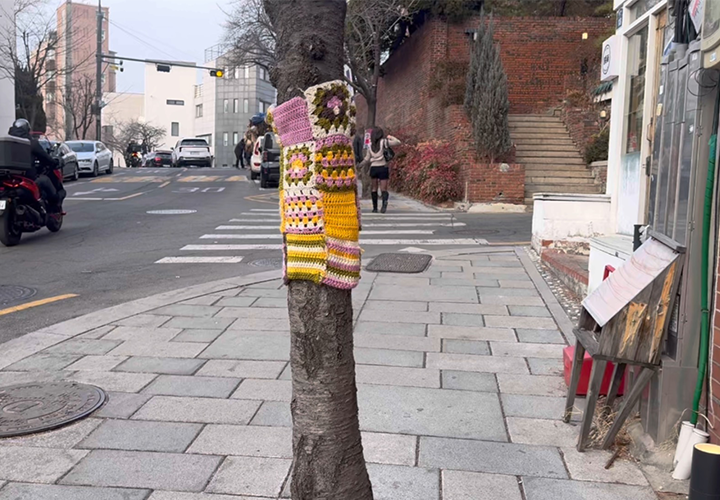 실제 내가 산책한 종로 거리의 모습인데, 쓰레기 봉투가 있을 법한 거리 구석에서도 생활폐기물을 확인하지 못했다.  매일 강아지 산책을 시키는 나에게는 거리가 깨끗하다는 것이 가장 실감되는 변화이기도 했다.