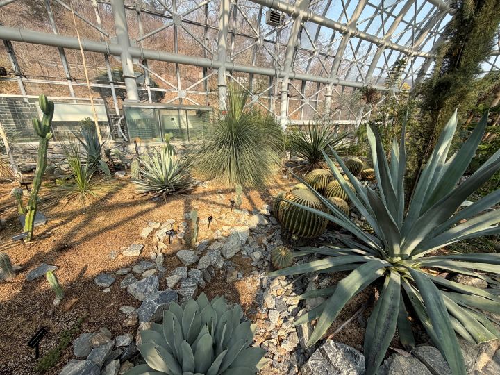 열대 온실 속 다양한 식물들