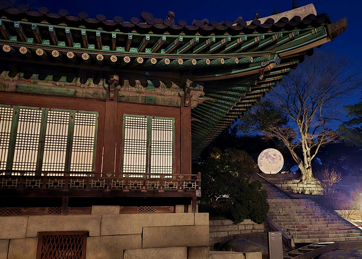 궁궐과 함께 찍어야 의미가 더 예쁘다는 팁도 얻었다.