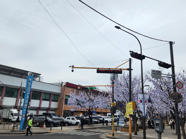 효창공원으로 가는 길목에 태극기가 나무에 빼곡히 걸려 있었다. 삼일절을 상징하는 장면이다.