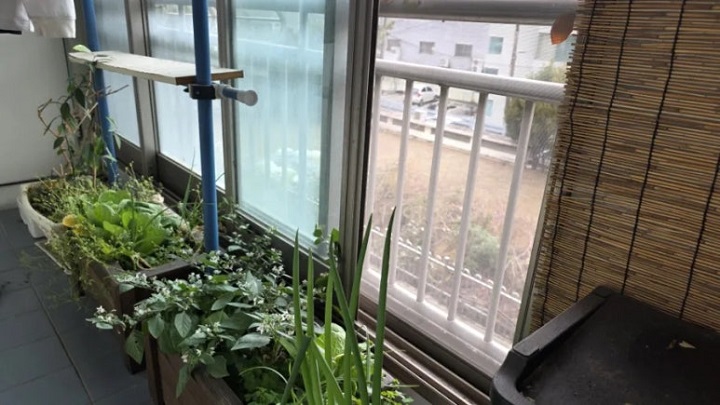 미세먼지가 있는 날도 창문을 열어 환기를 시킨다