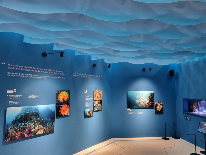 특별기획전 '바다에서 온 메세지' 내부관람