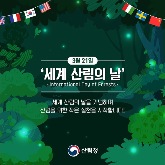 숲을 생각하는 날, 세계 산림의 날