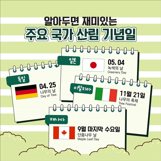 숲을 생각하는 날, 세계 산림의 날