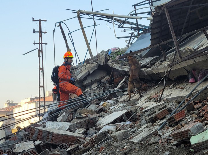 지난  2023년 2월 튀르키예 대지진 당시 대한민국 국제구조대 송민용 소방장과 119구조견 '해태'가 한 명의 생존자라도 더 찾기 위해 거대한 잔해가 쌓인 험준한 사고 현장을 누비며 매몰자 수색 작업을 펼치고 있다.(사진=소방청 제공)