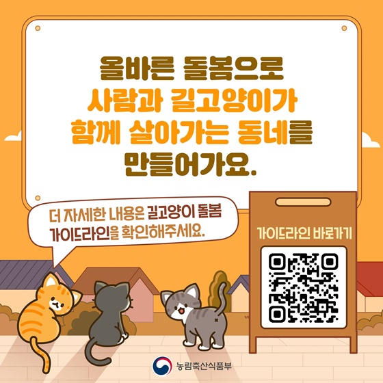 우리 동네 길고양이, 어떻게 돌보면 좋을까요?