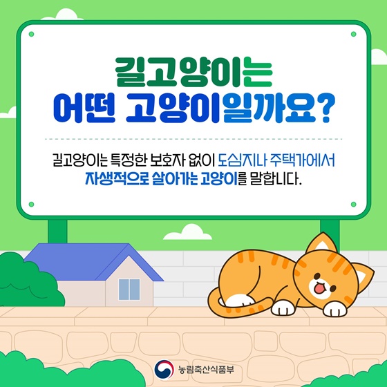 우리 동네 길고양이, 어떻게 돌보면 좋을까요?