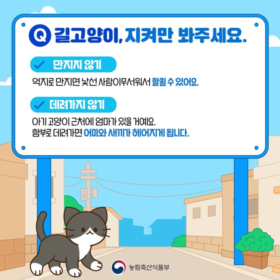 우리 동네 길고양이, 어떻게 돌보면 좋을까요?