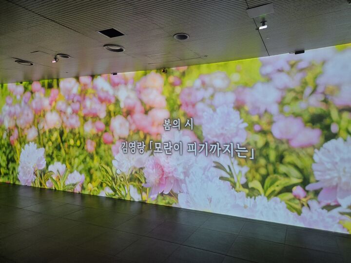 미디어아트 영상(본인 촬영)