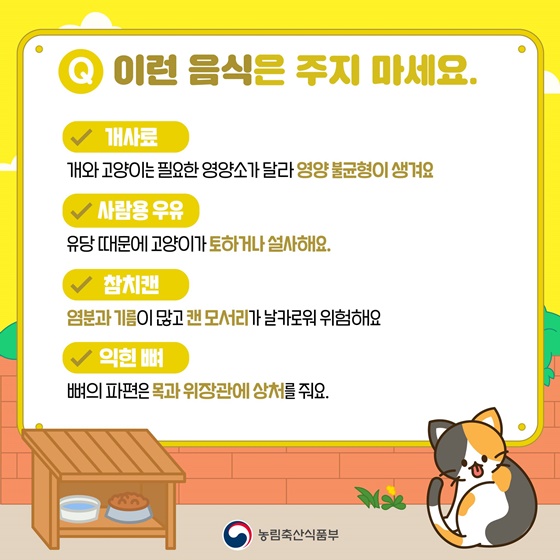 우리 동네 길고양이, 어떻게 돌보면 좋을까요?
