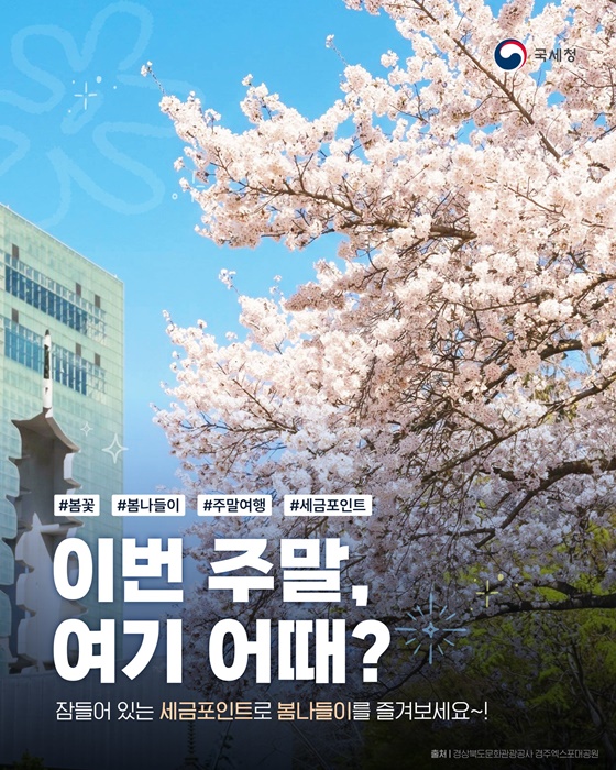 이번 주말, 여기 어때?