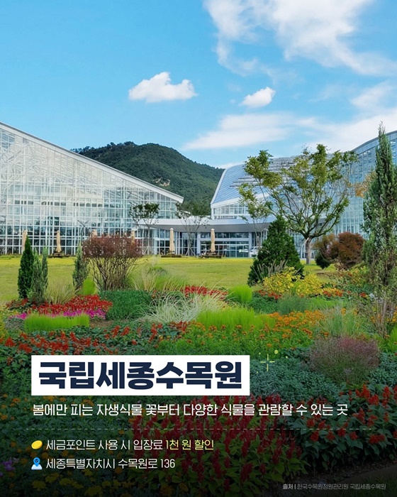 이번 주말, 여기 어때?