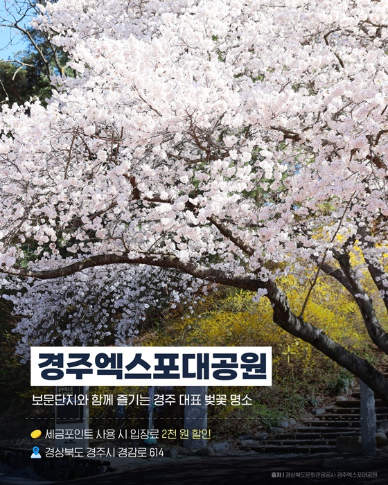 이번 주말, 여기 어때?