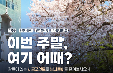 이번 주말, 여기 어때?