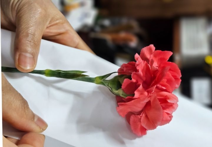 감사한 마음은 카네이션 한 송이로 전하세요(직접 촬영, 익산 신혼 꽃집, 3월 24일)