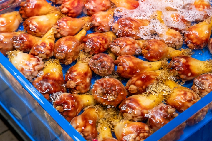 마비성 패류독소는 각별한 주의가 필요하다