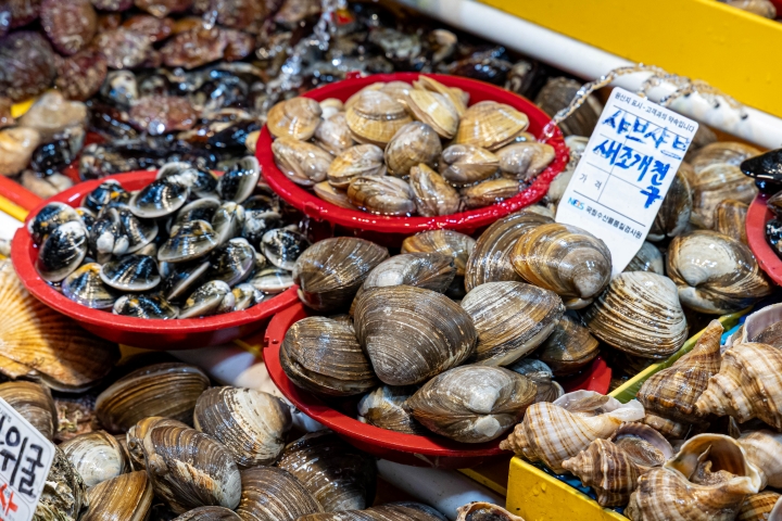 봄에 수산물을 섭취할 때는 패류독소에 주의해야 한다