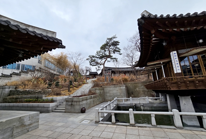 새로 심은 정원. 좀 더 봄이 무르익으면 만개할 풍경이 궁금하다. (본인 촬영)