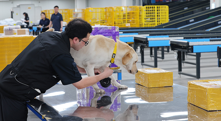 인천 연수구 인천세관 해상특송물류센터 검사장에서 탐지견이 불법 특송물품을 탐지하고 있다.2025.8.14.(사진=저작권자(c) 연합뉴스, 무단 전재-재배포 금지)