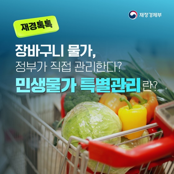 장바구니 물가, 정부가 직접 관리한다? 민생물가 특별관리