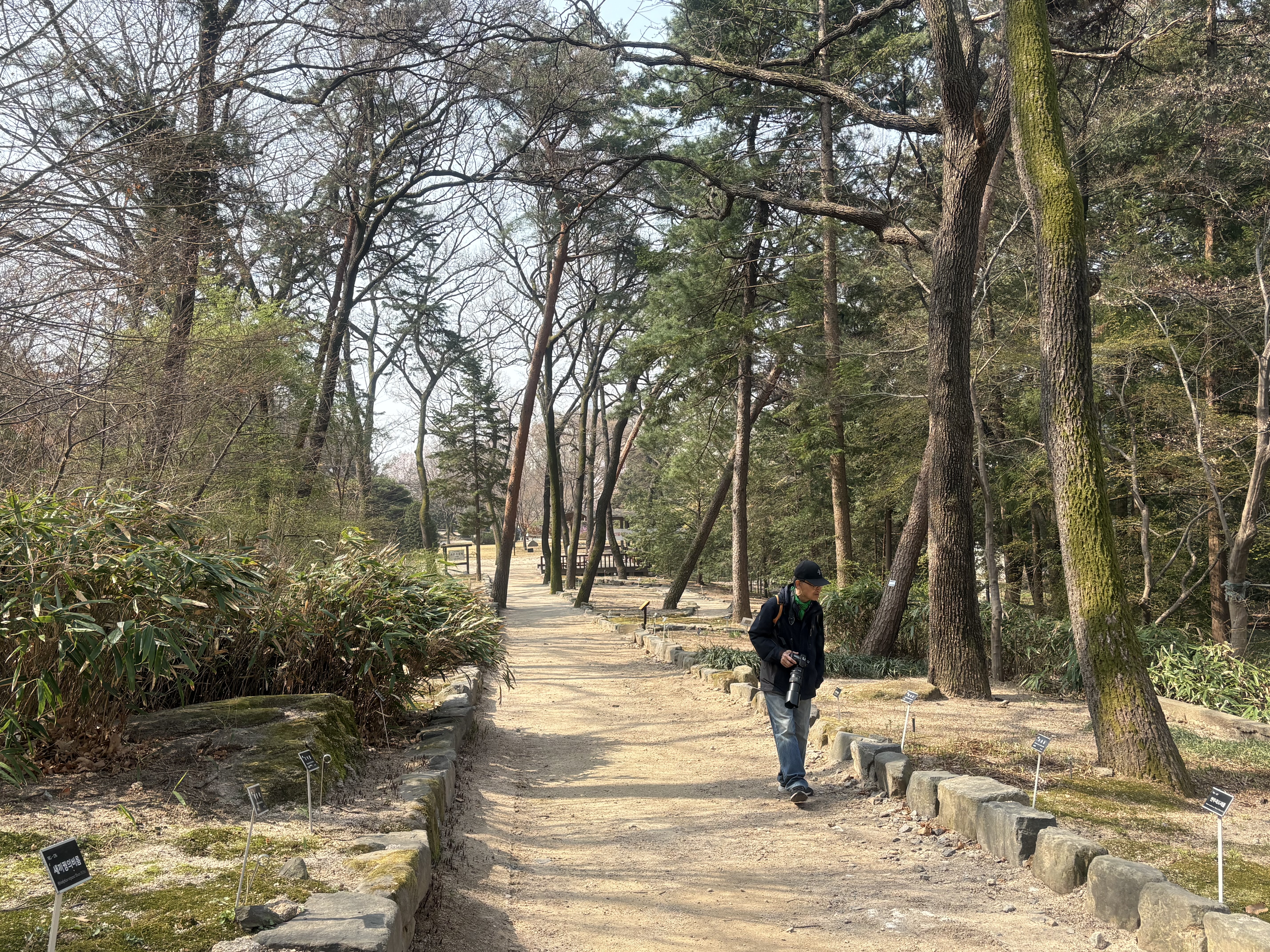 홍릉숲의 식물들을 관찰하는 시민 (본인 촬영)