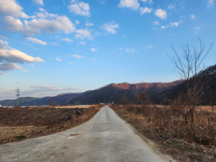 경북 고령은 논 사이 드문드문 집들이 있는 전형적인 농촌 마을의 풍경을 하고 있다.
