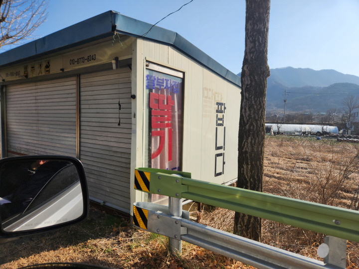 고령을 방문하면 생산지에서 직판하고 있는 신선한 딸기를 구매할 수 있다.