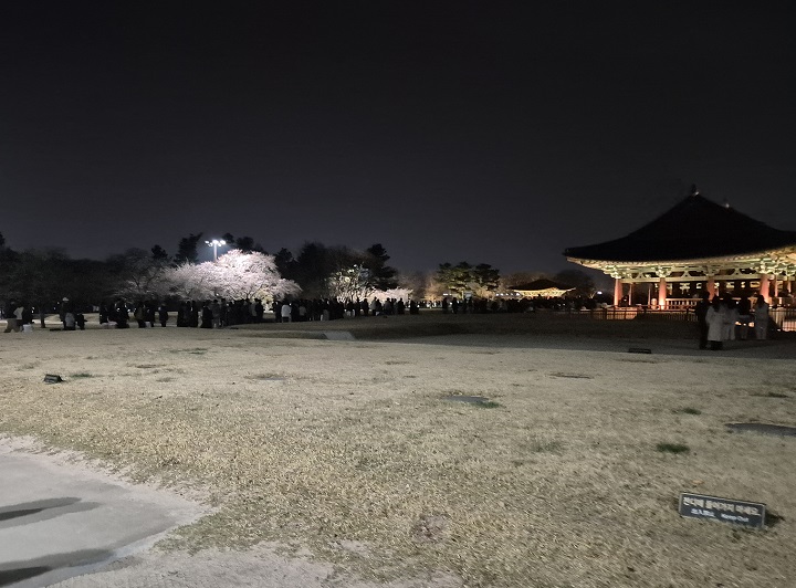 저녁 8시경 동궁과 월지를 입장하는 수많은 관람객.