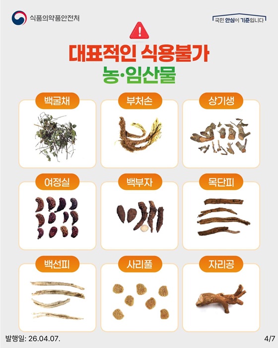 식용불가 농·임산물 주의하세요!