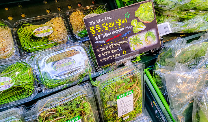 농협 로컬푸드직매장에서 봄맞이 제철나물을 판매하고 있다. (본인촬영)